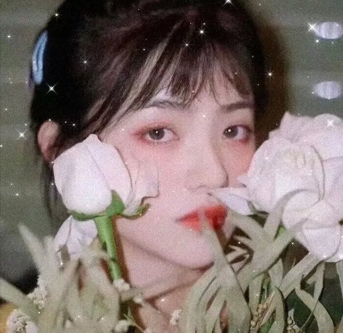 情似繁花渐落
